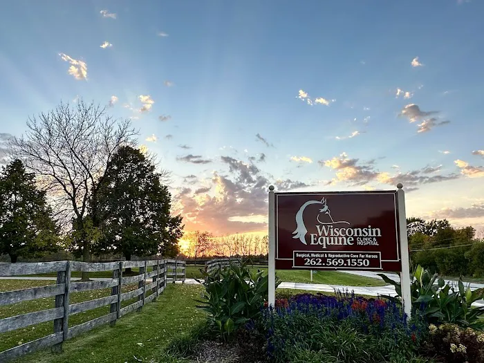 Wisconsin Equine Clinic & Hospital Picture 6