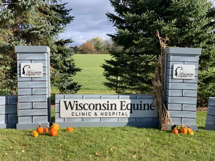 Wisconsin Equine Clinic & Hospital Picture 9