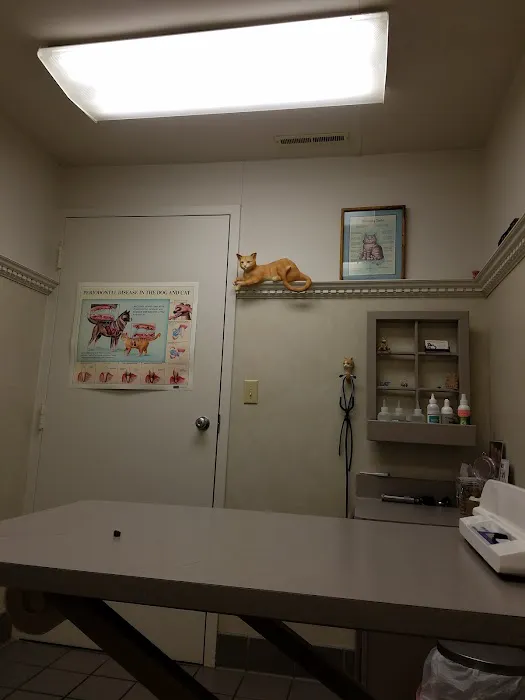 Summit Animal Clinic,llc Picture 1