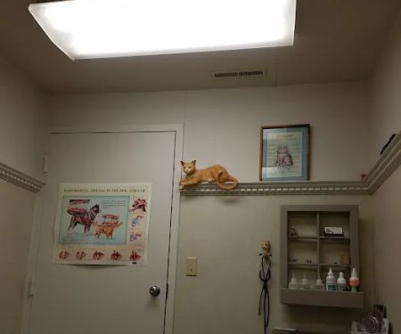 Summit Animal Clinic,llc