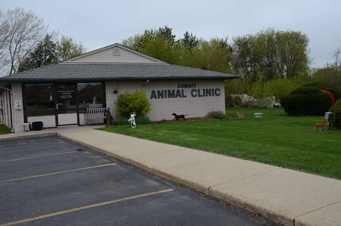 Summit Animal Clinic,llc Picture 7
