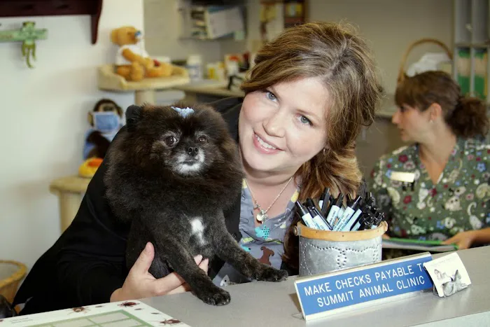 Summit Animal Clinic,llc Picture 8