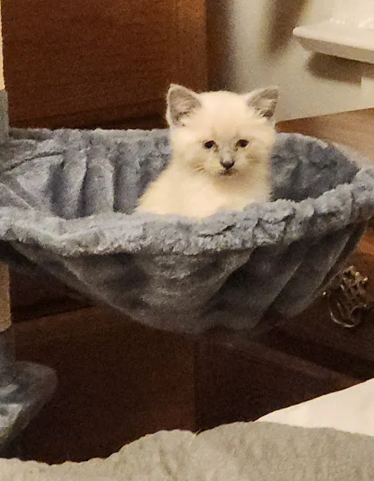 Johnson Creek Veterinary Care Picture 2