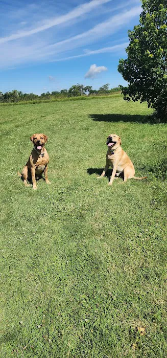 Johnson Creek Veterinary Care Picture 4