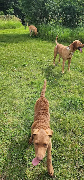 Johnson Creek Veterinary Care Picture 6