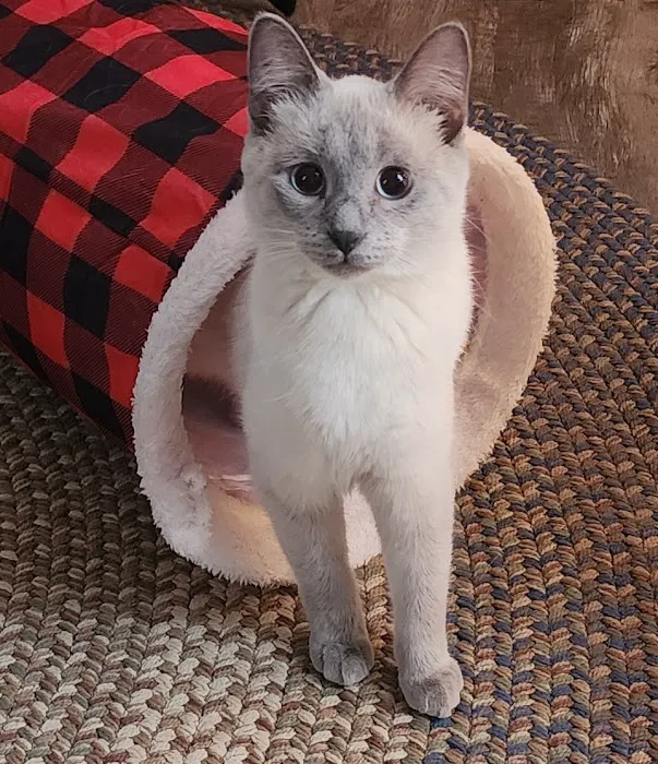 Johnson Creek Veterinary Care Picture 7