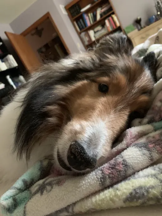 Johnson Creek Veterinary Care Picture 9