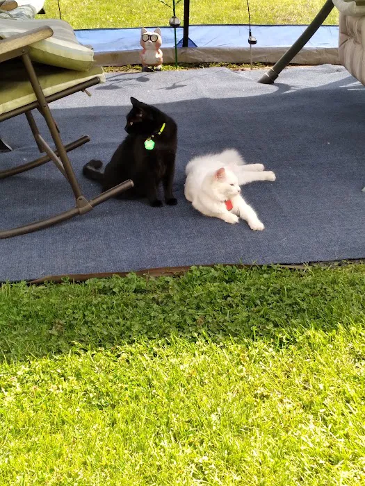 Johnson Creek Veterinary Care Picture 10