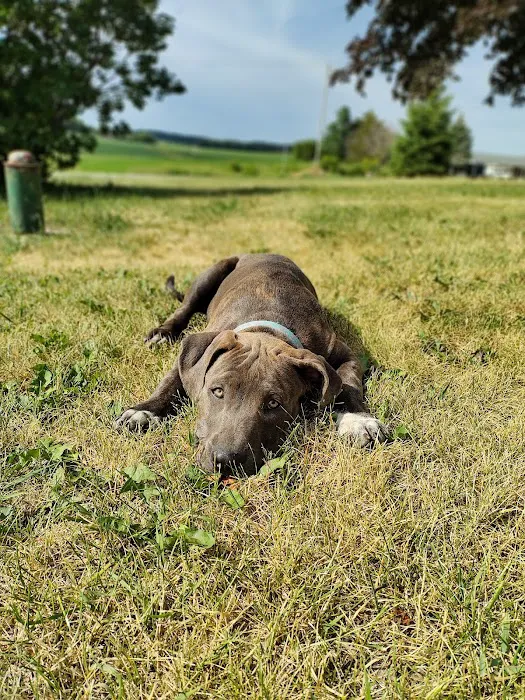 Johnson Creek Veterinary Care Picture 8