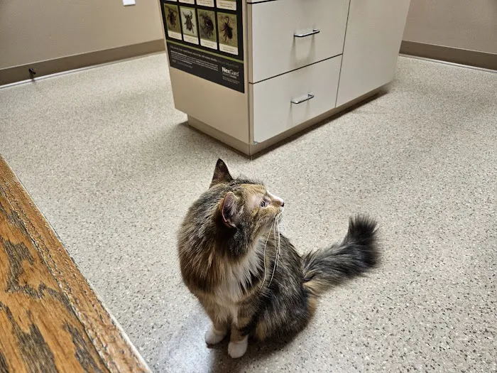 Tyranena Veterinary Clinic Picture 2