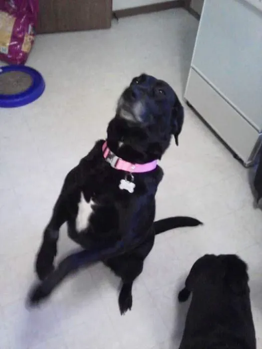 Tyranena Veterinary Clinic Picture 3