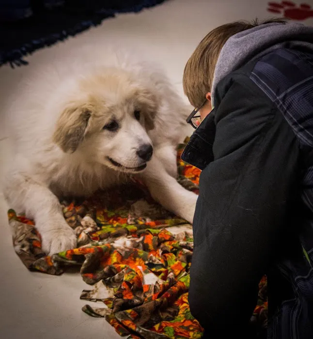 Lake Mills Veterinary Clinic Picture 1