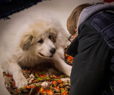 Lake Mills Veterinary Clinic