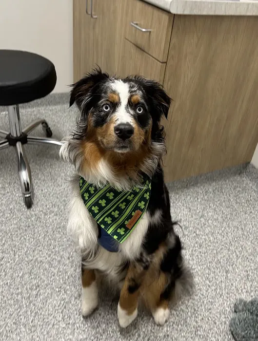 Lake Mills Veterinary Clinic Picture 3