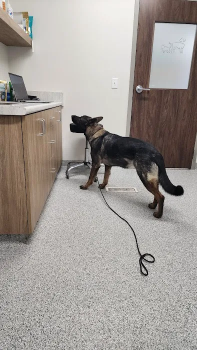 Lake Mills Veterinary Clinic Picture 2