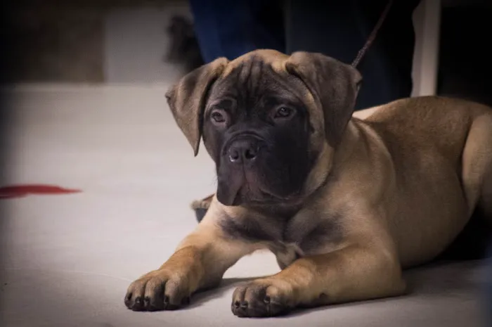 Lake Mills Veterinary Clinic Picture 4