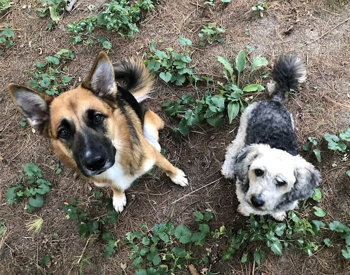 Lake Mills Veterinary Clinic Picture 7