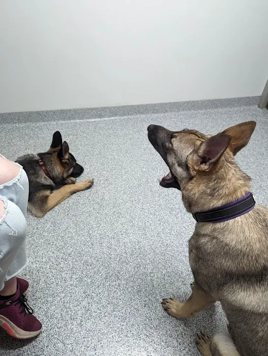 Lake Mills Veterinary Clinic Picture 6