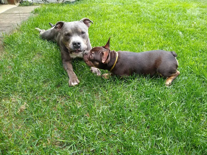 Lake Mills Veterinary Clinic Picture 10