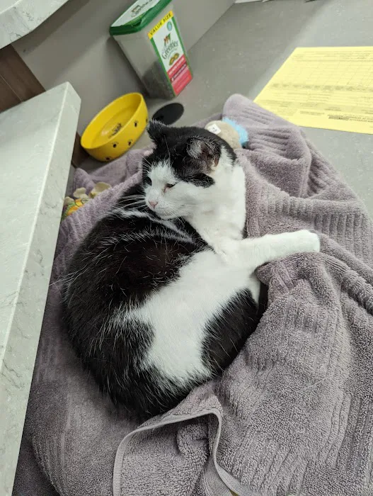 Lake Mills Veterinary Clinic Picture 8