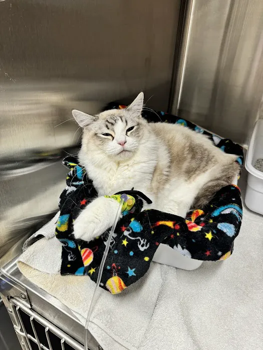 Barbers Hill Animal Hospital Picture 1