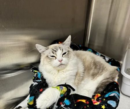 Barbers Hill Animal Hospital