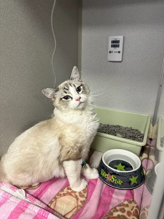 Barbers Hill Animal Hospital Picture 2