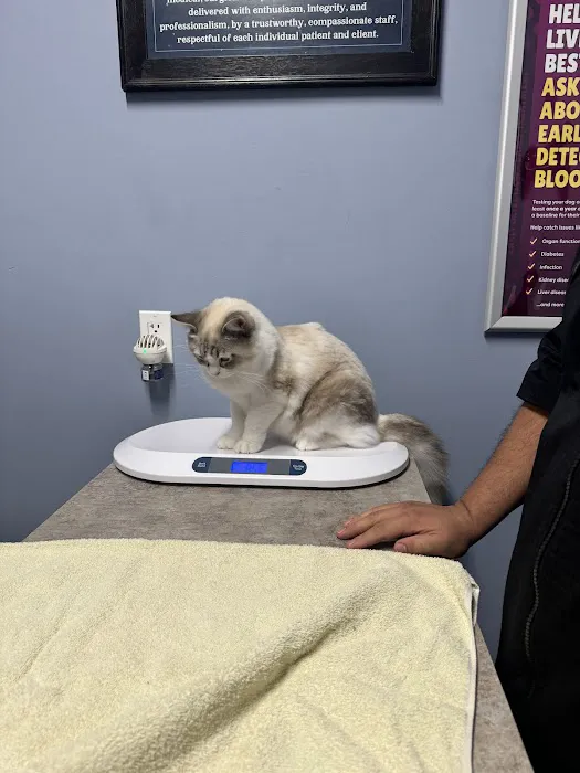 Barbers Hill Animal Hospital Picture 3