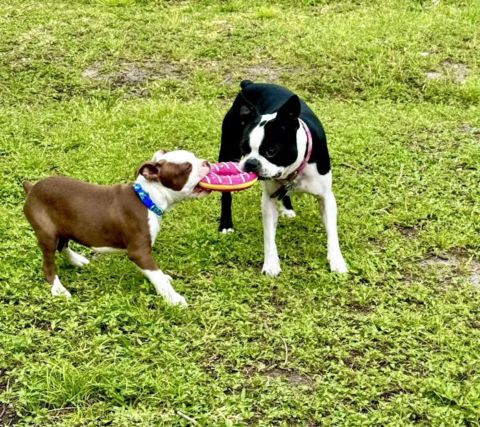 Barbers Hill Animal Hospital Picture 4