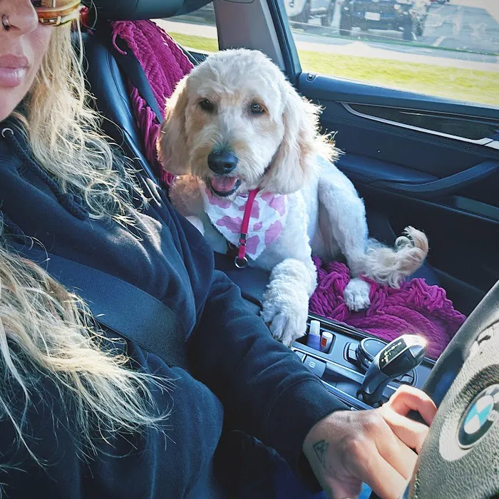 Barbers Hill Animal Hospital Picture 9