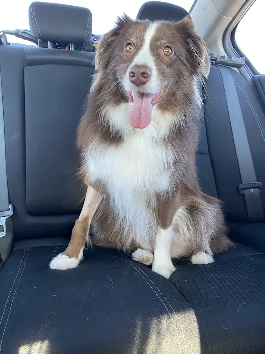 Barbers Hill Animal Hospital Picture 8