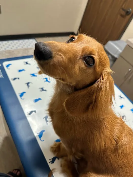 Barbers Hill Animal Hospital Picture 7