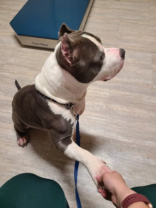 Barbers Hill Animal Hospital Picture 5