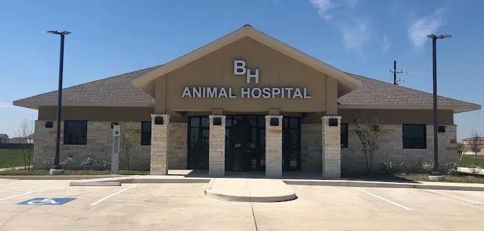 Barbers Hill Animal Hospital Picture 6