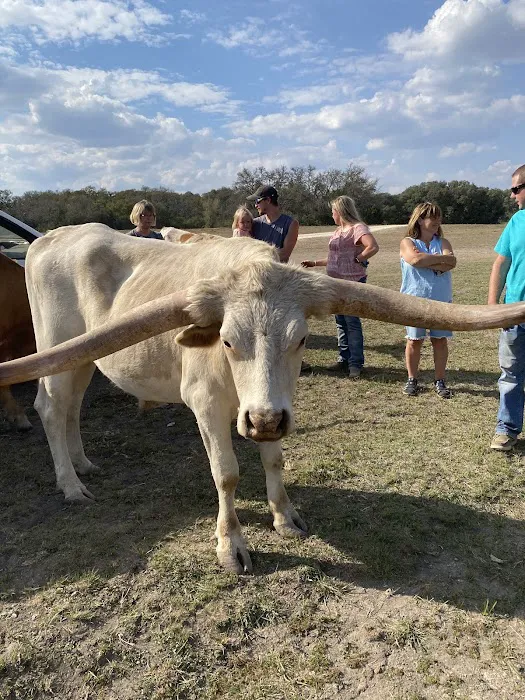Abshier-Meuth Animal Hospital Picture 3