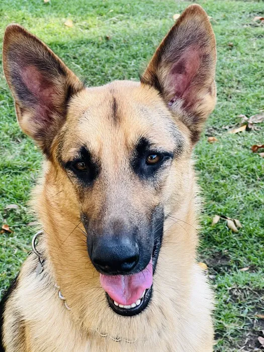 Neighborhood Veterinary Centers - Wallisville Picture 4