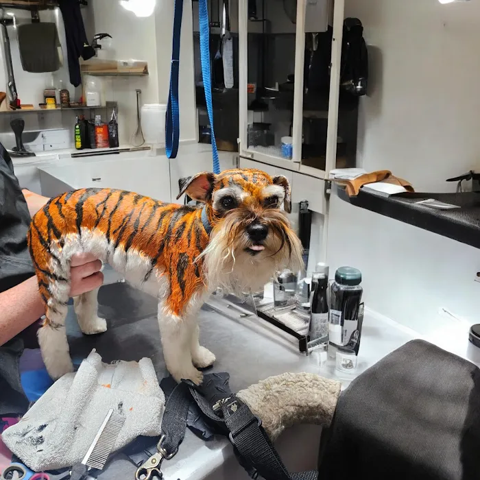 Neighborhood Veterinary Centers - Wallisville Picture 9