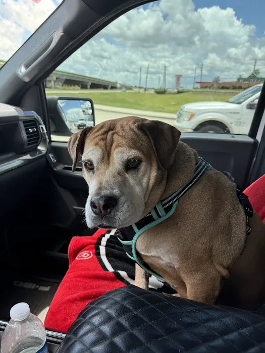 Neighborhood Veterinary Centers - Wallisville Picture 8