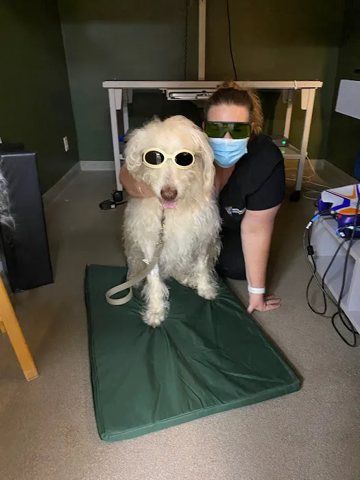 Neighborhood Veterinary Centers - Wallisville Picture 6