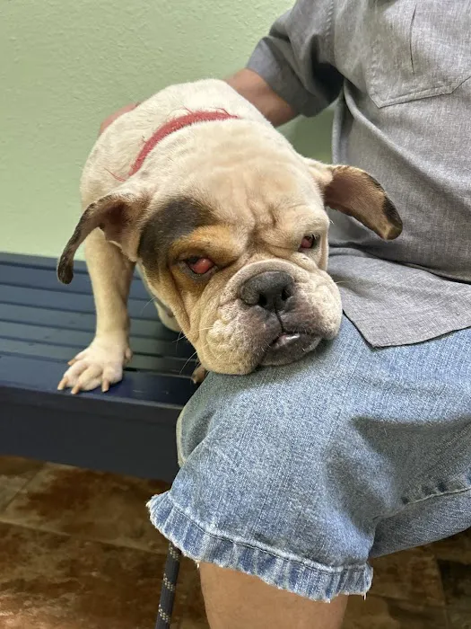 Neighborhood Veterinary Centers - Wallisville Picture 7