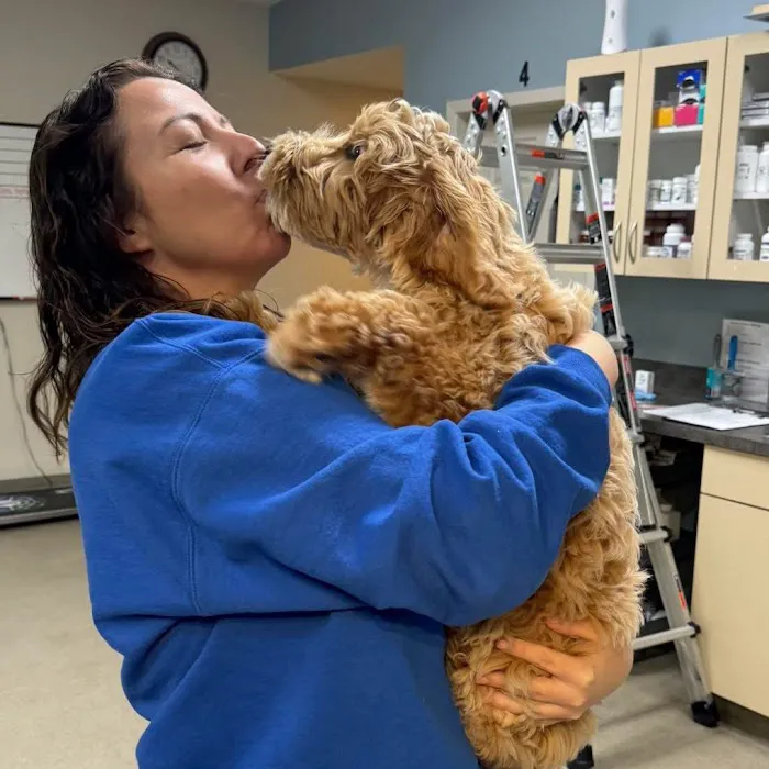 Neighborhood Veterinary Centers - Wallisville Picture 10