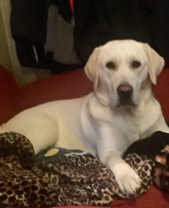 Archer Road Animal Hospital Picture 1