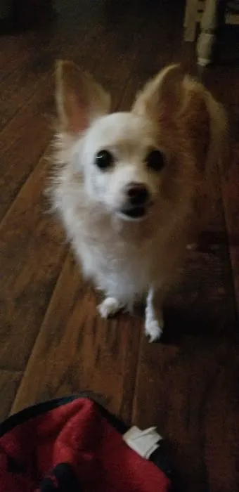 Archer Road Animal Hospital Picture 4