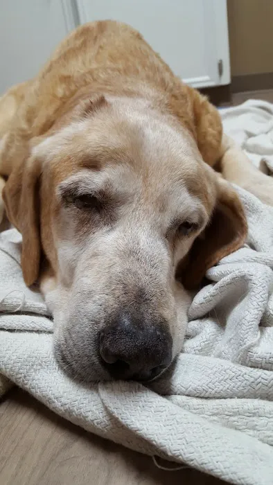 Archer Road Animal Hospital Picture 3