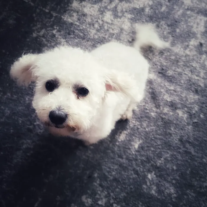 Archer Road Animal Hospital Picture 5