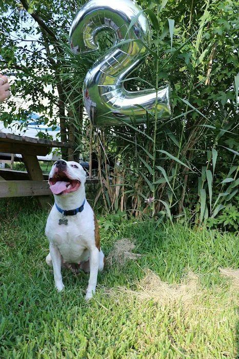 Archer Road Animal Hospital Picture 6