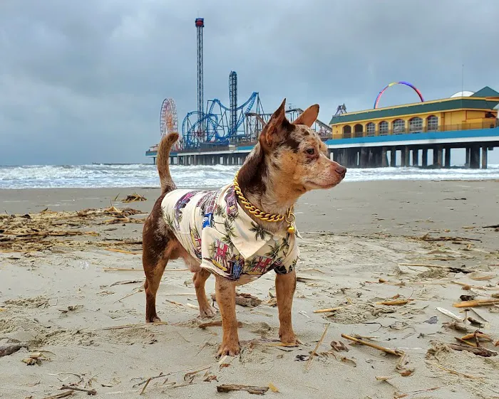 Highlands Animal Clinic Picture 4