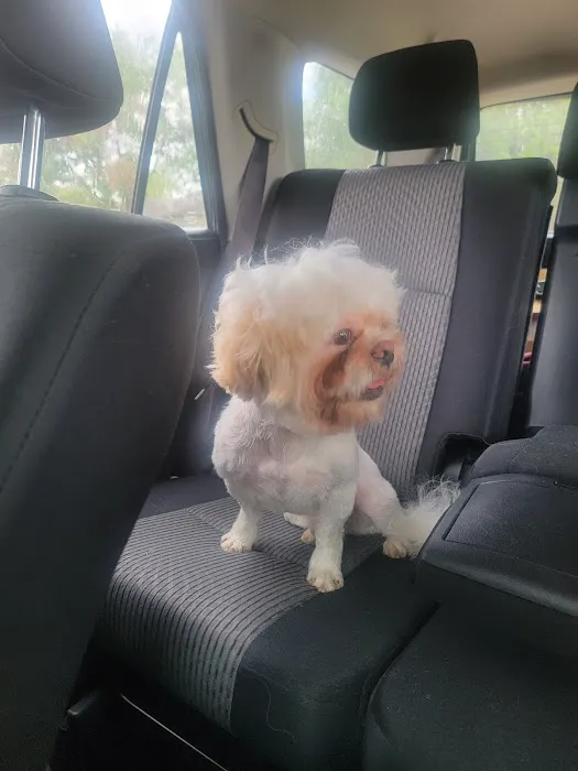 Highlands Animal Clinic Picture 3