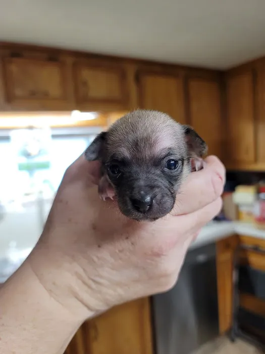 Highlands Animal Clinic Picture 2