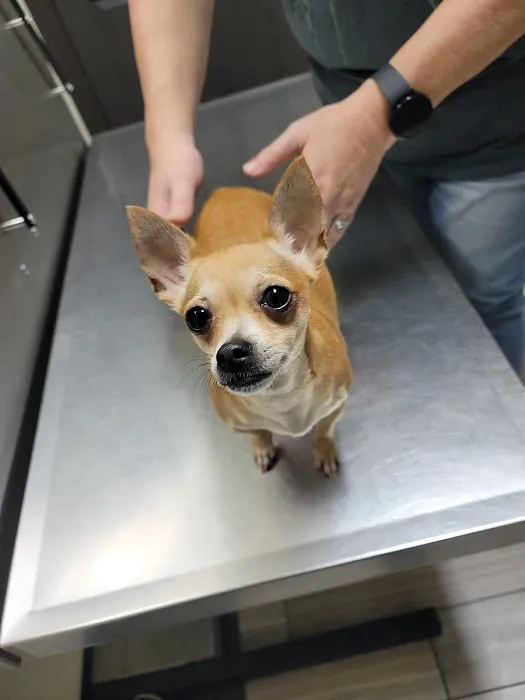 Highlands Animal Clinic Picture 6